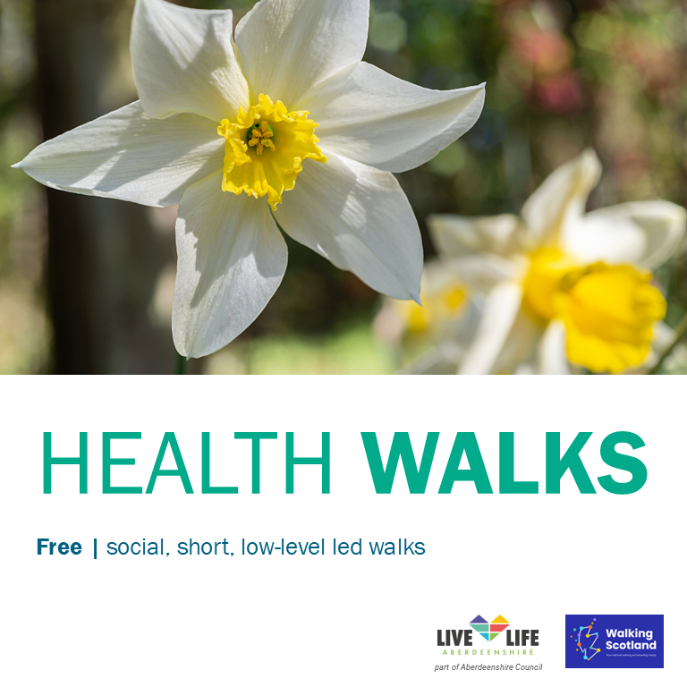 Image reads 'Health Walks - Free, social, short, low-level led walks' with a picture of a daffodil.