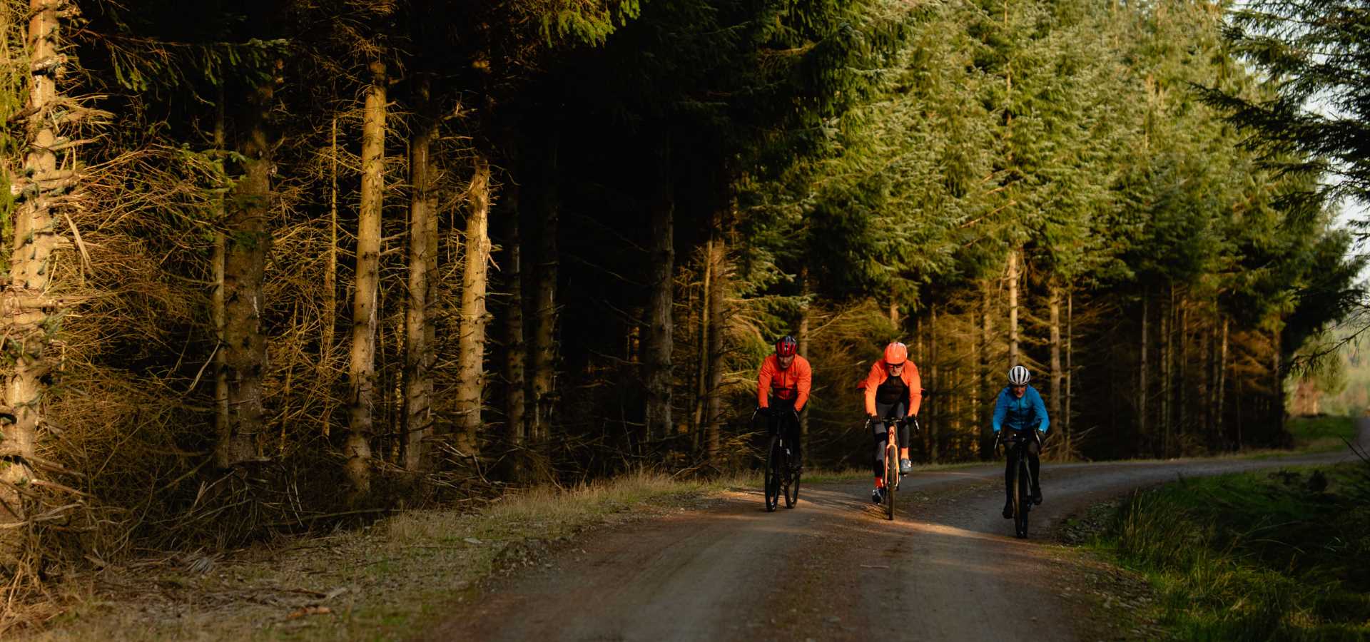 A group of people cycling through the countryside
