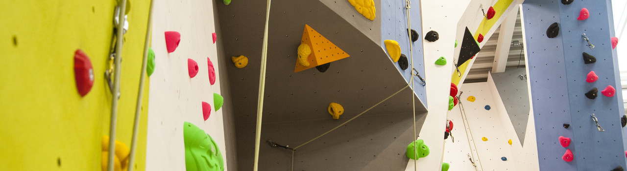 Picture of climbing wall