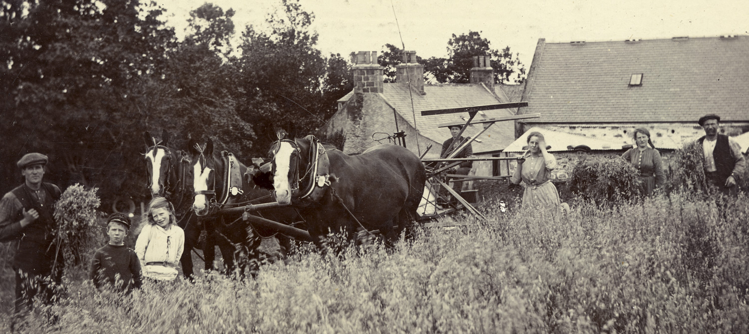 farming family with horse drawn harvester