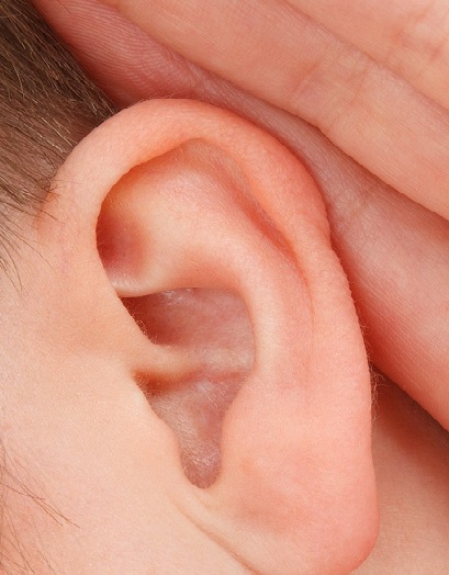 Close up of an ear