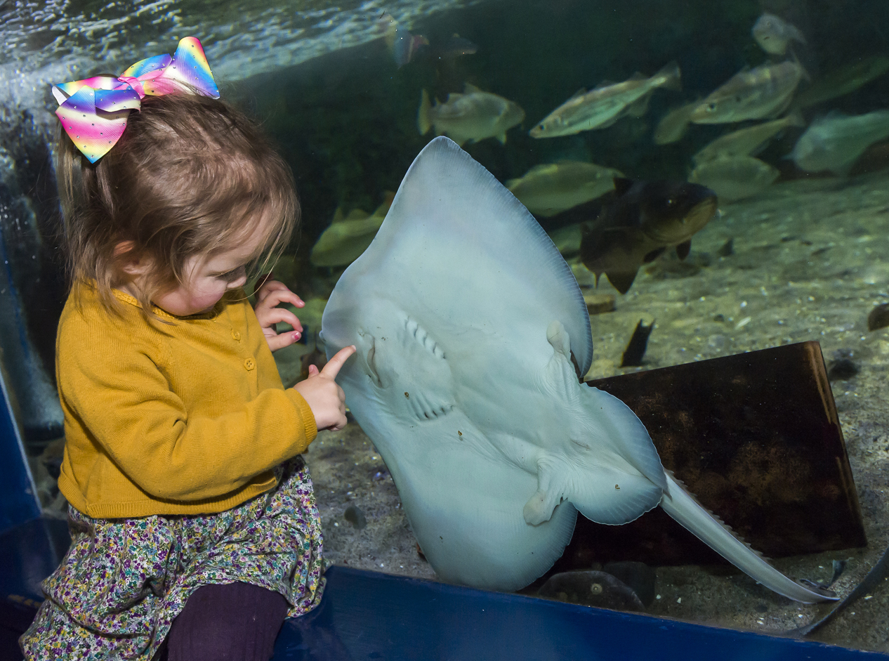 Little girl with ray