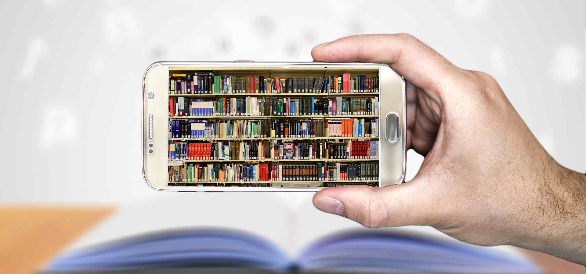 Library Catalogue Maintenance