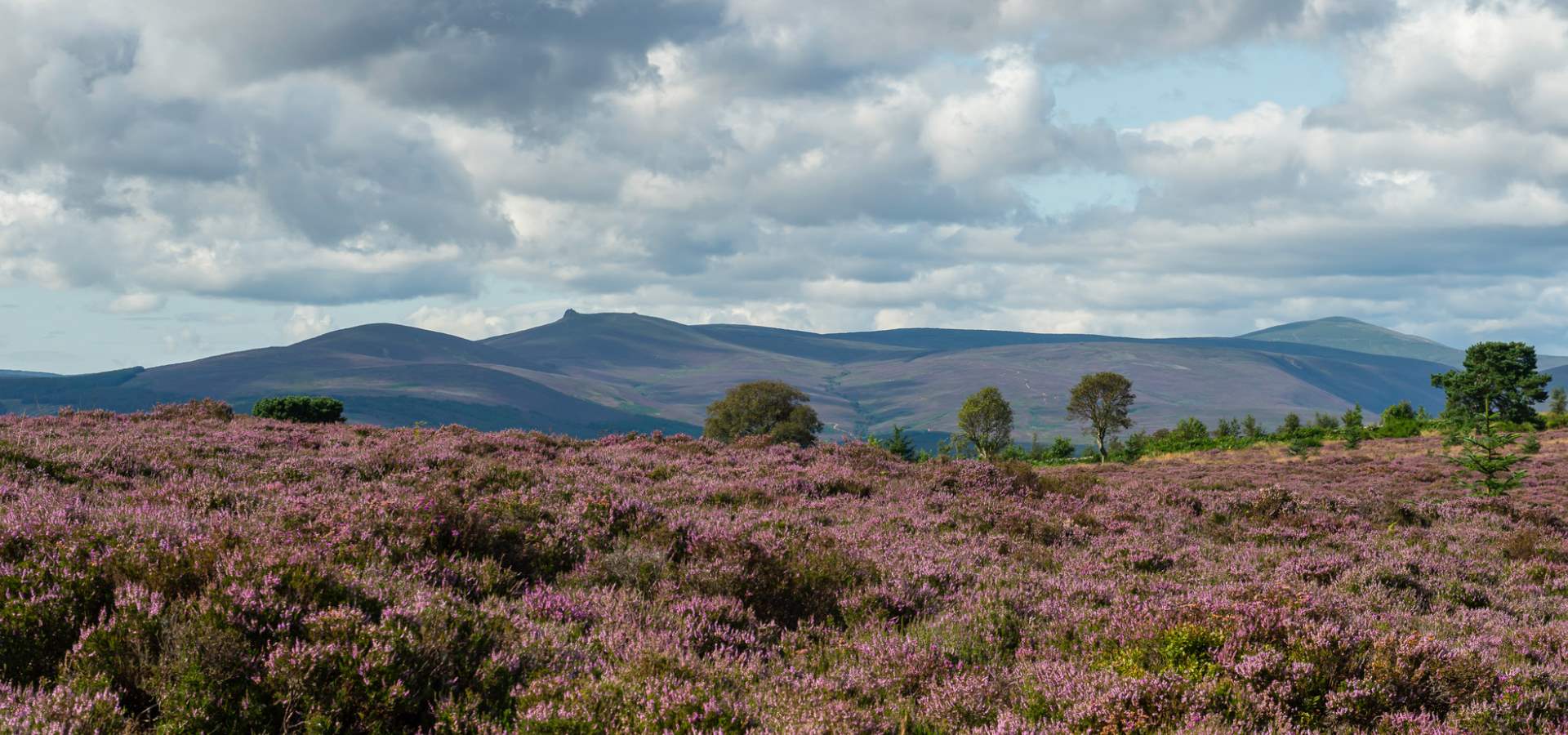 Aberdeenshire landscape