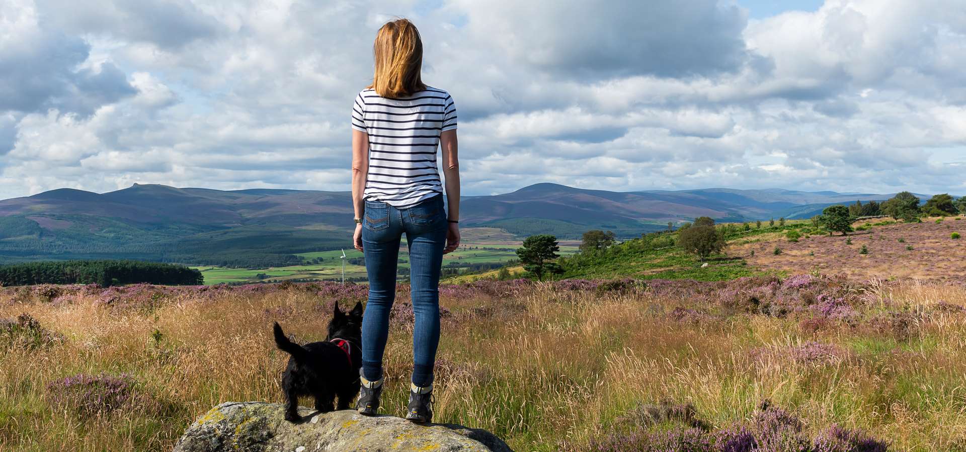 A person on top of a hill with their dog