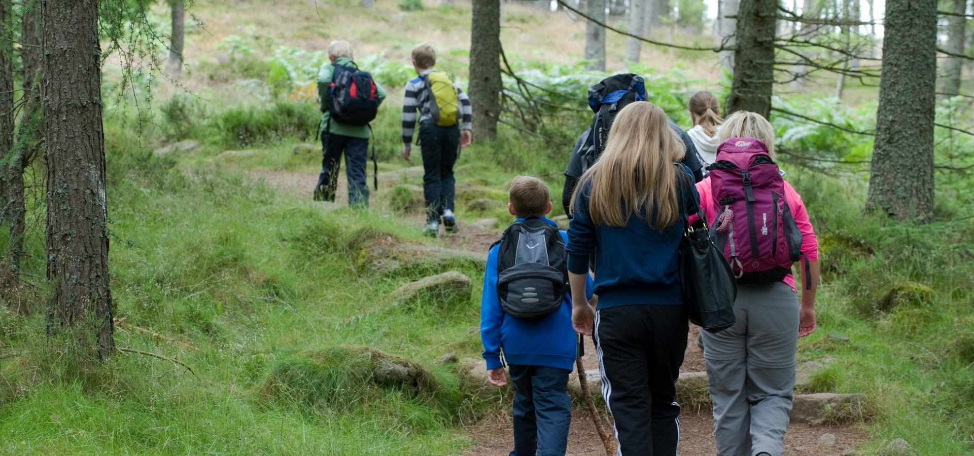 A group of people having a walk through a forest 