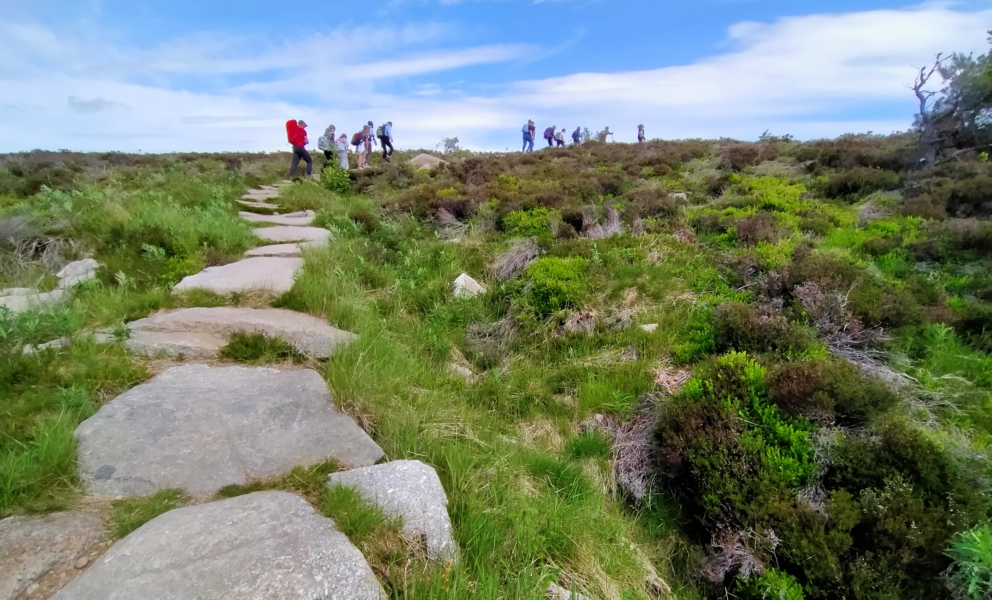 children climbing up a mountain path