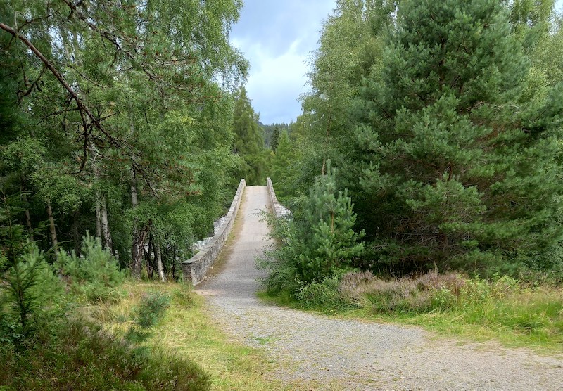 path leading to stone bridge surrounded by trees