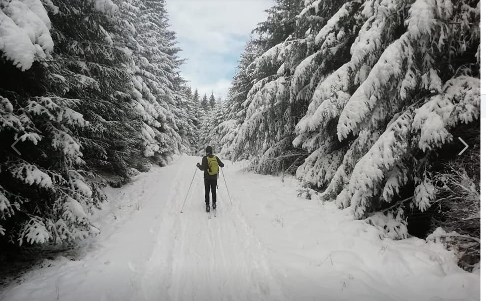 A skiier in the Clashindarroch Forest