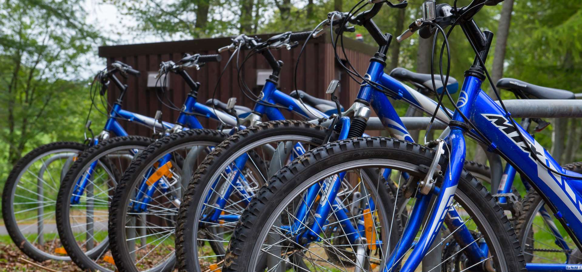 A row of blue bikes