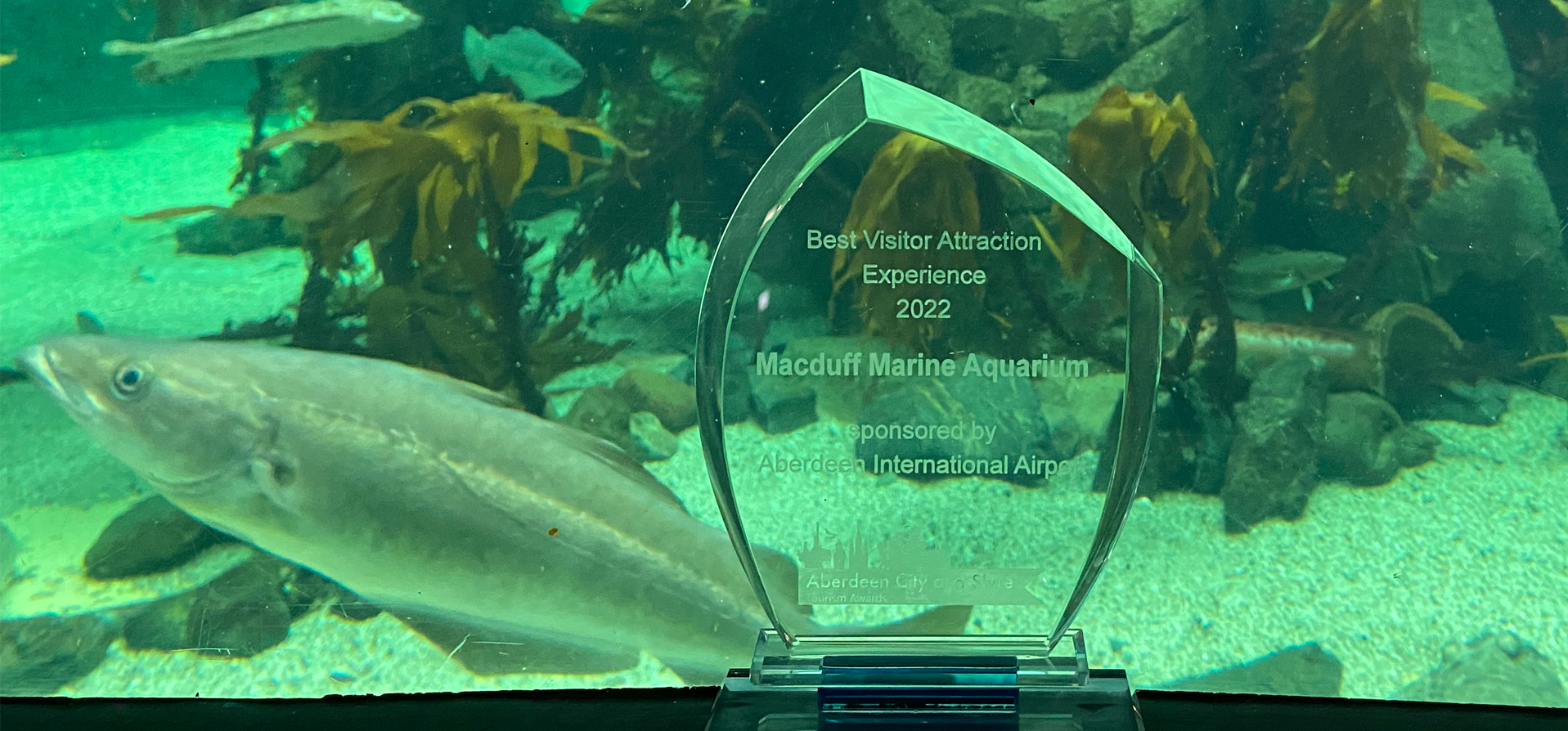 Aquarium Nets Tourism Award - Live, Life Aberdeenshire