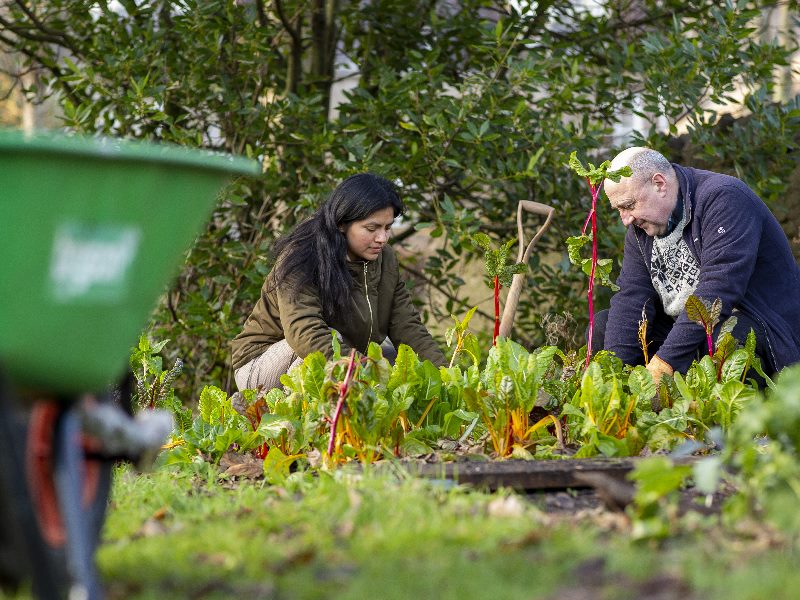 A couple of people gardening