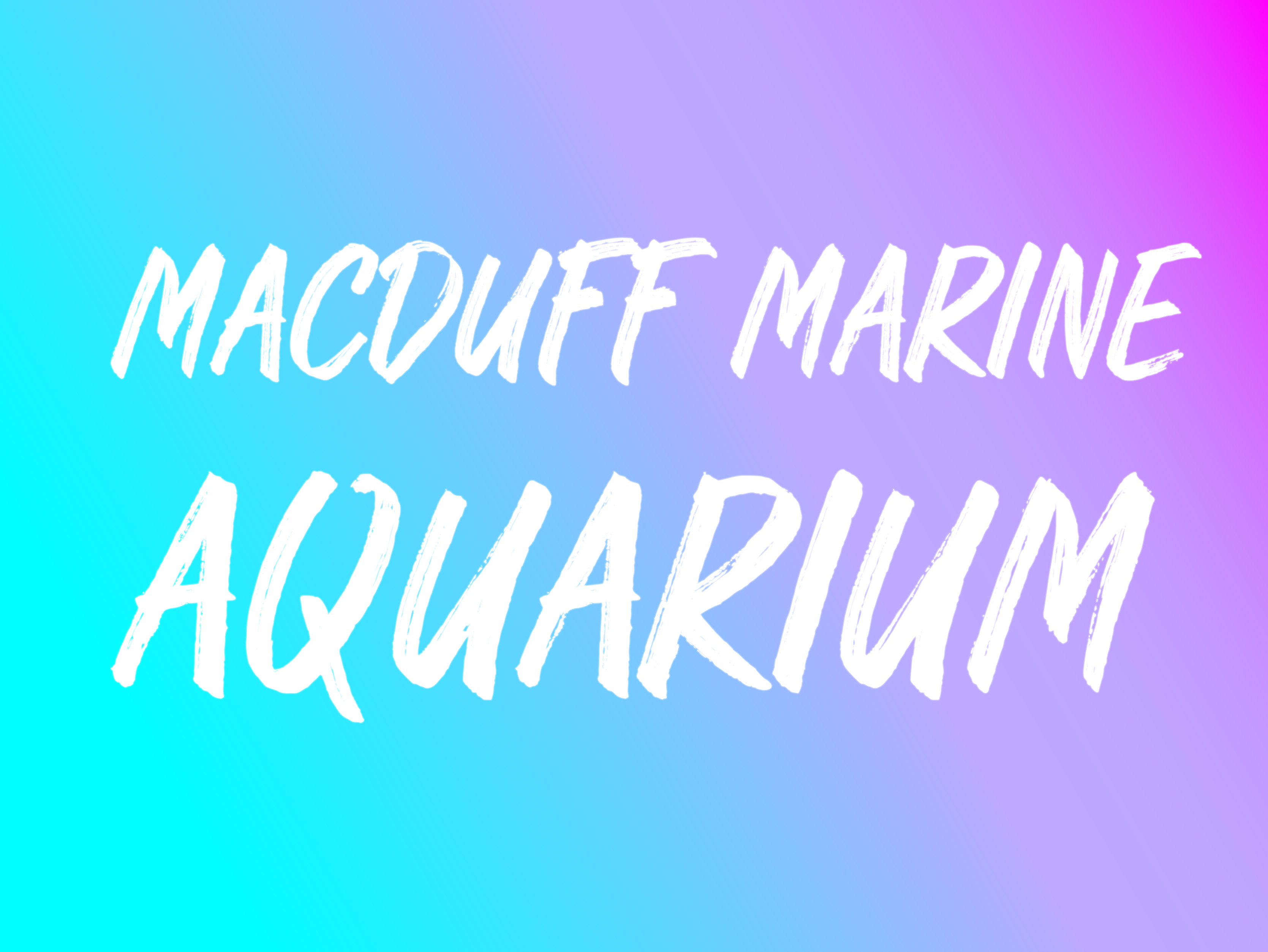 Macduff Marine Aquarium graphic